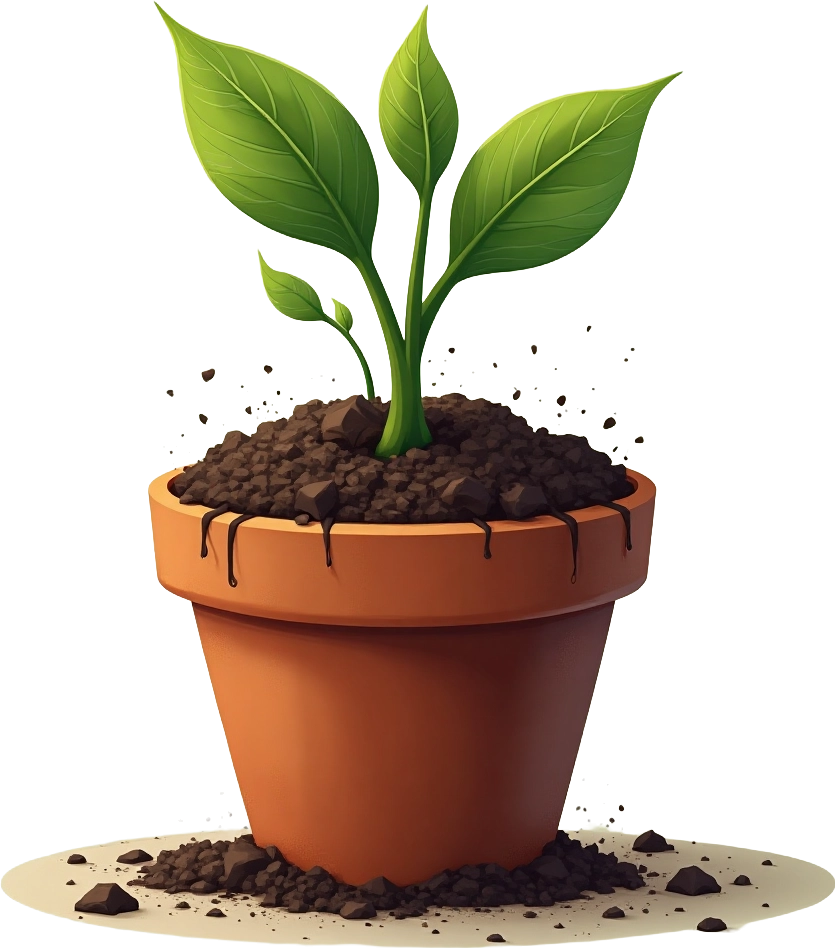 Growing Plant in a Pot